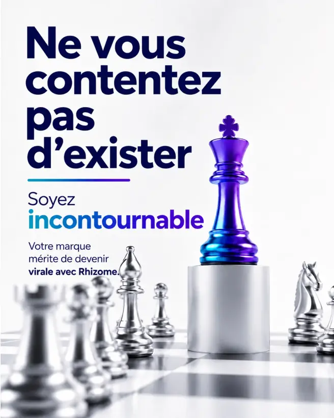 Support de stratégie marketing élaboré par Rhizome